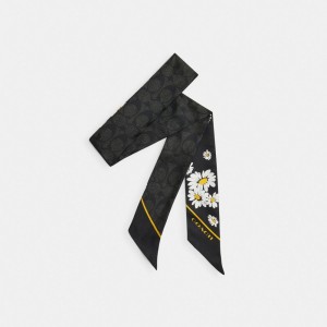 Black Women Coach Signature Daisy Cluster Print Silk Skinny Scarf | AU_CH86200