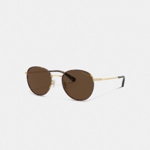 Brown / Gold Men Coach Metal Windsor Round Sunglasses | AU_CH96801